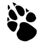 Picture of Stowarzyszenie Pomocy Zwierzętom ŁAPA